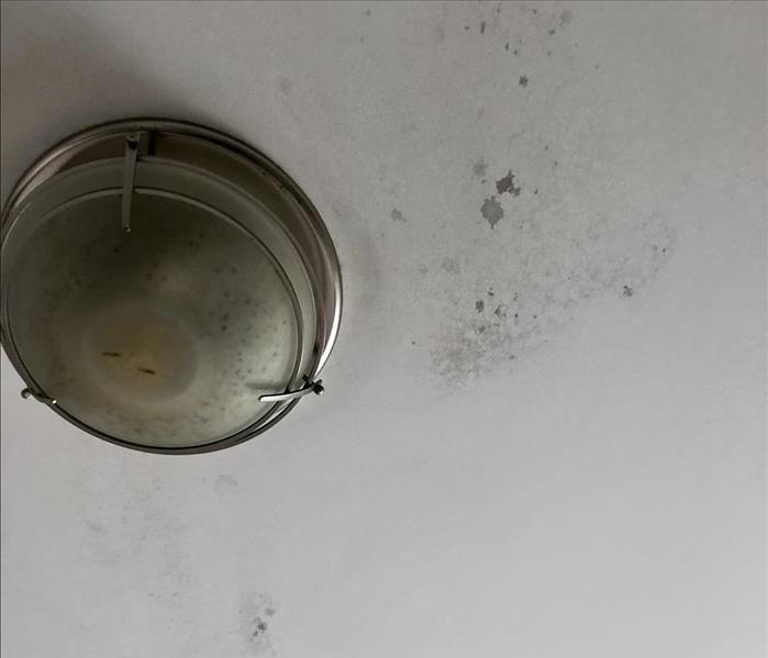 water spots in ceiling