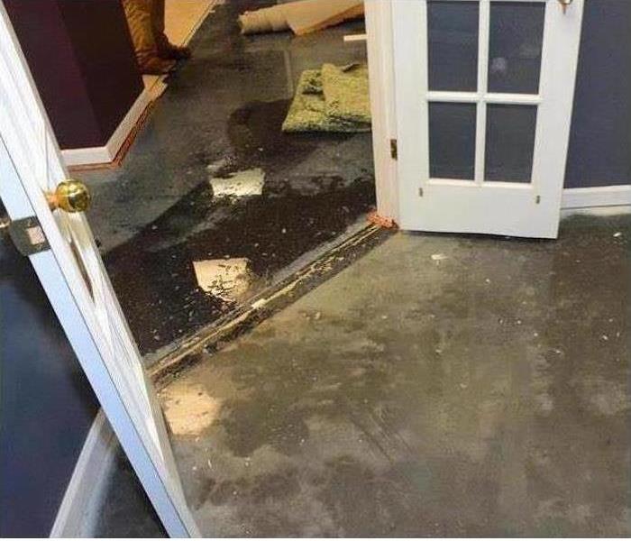 Sewage backing up into a room inside a home.