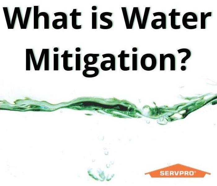 Text on a white background which reads "What is water mitigation?"